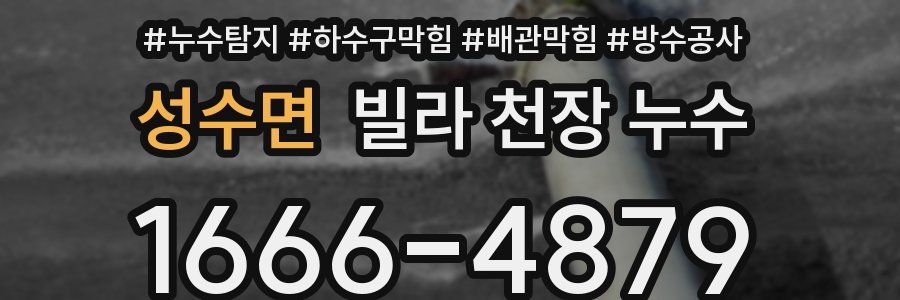 성수면 빌라 천장 누수