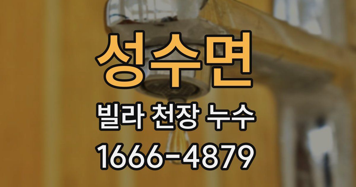 성수면 빌라 천장 누수