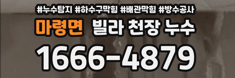 마령면 빌라 천장 누수