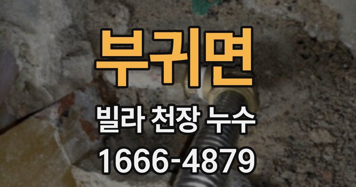 부귀면 빌라 천장 누수