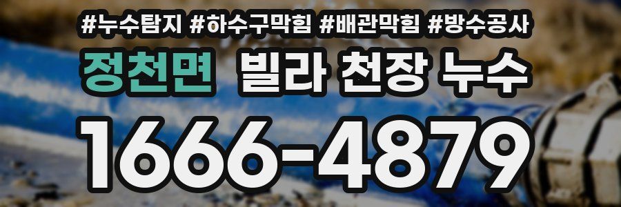 정천면 빌라 천장 누수