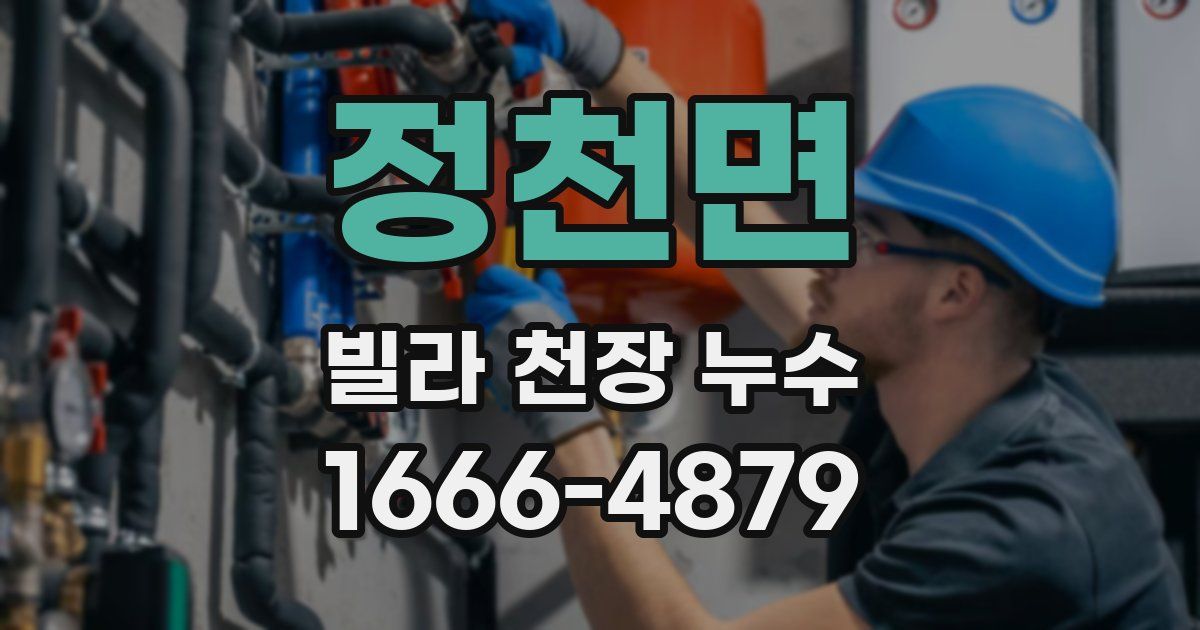 정천면 빌라 천장 누수