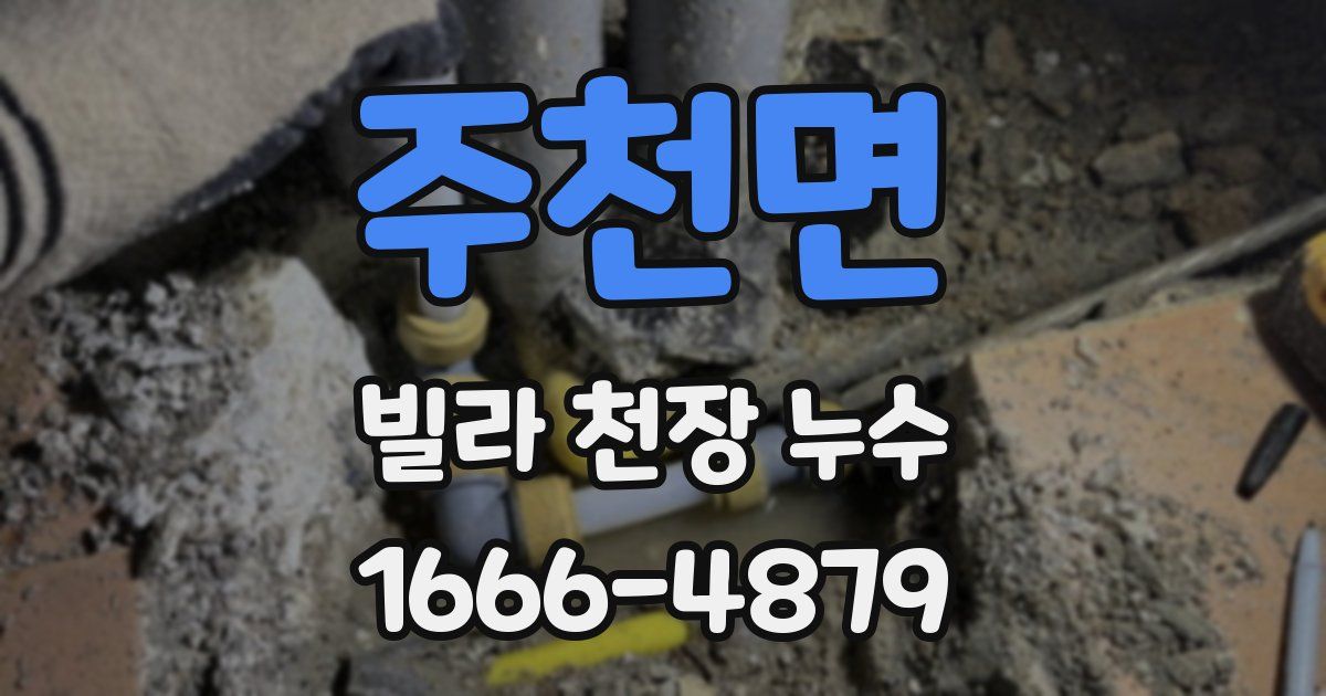 주천면 빌라 천장 누수