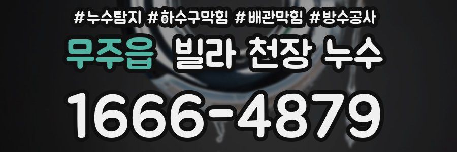 무주읍 빌라 천장 누수