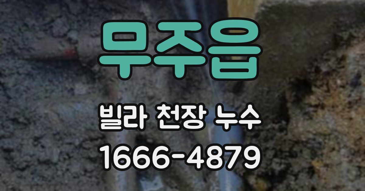 무주읍 빌라 천장 누수