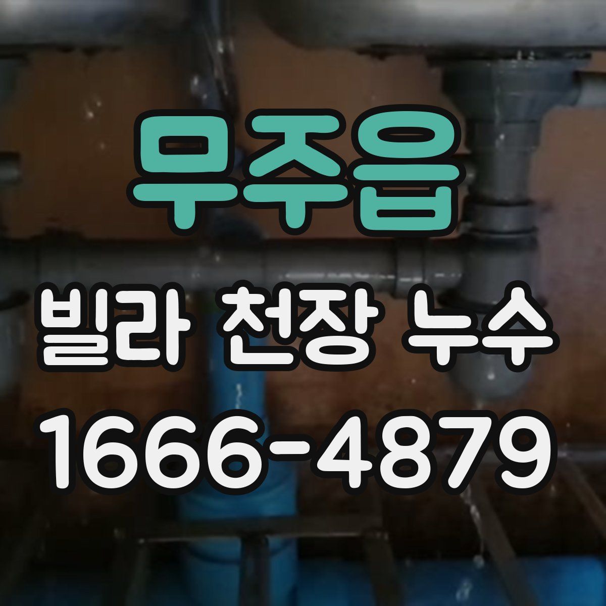 무주읍 빌라 천장 누수