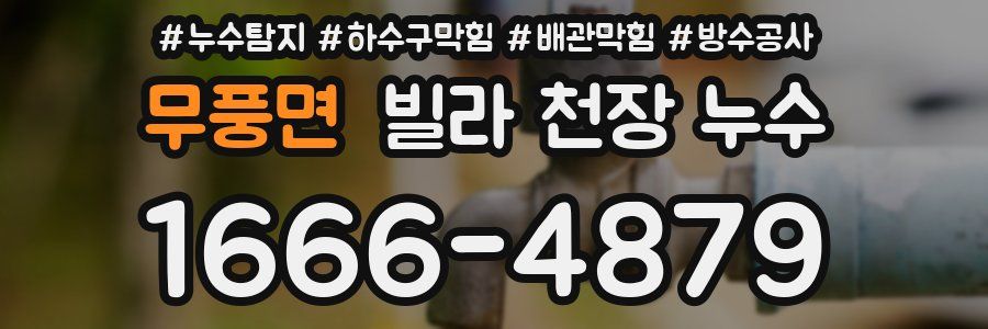 무풍면 빌라 천장 누수