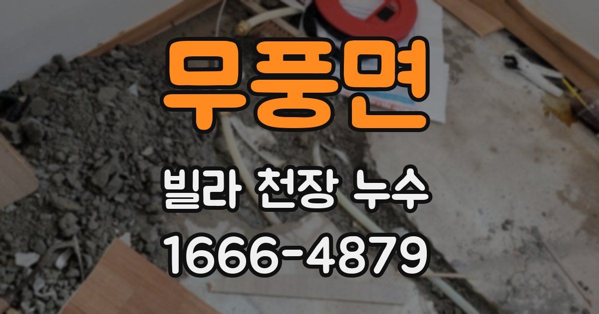 무풍면 빌라 천장 누수