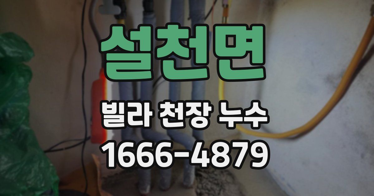 설천면 빌라 천장 누수