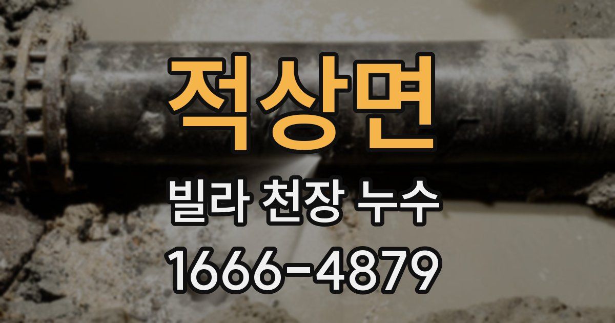 적상면 빌라 천장 누수