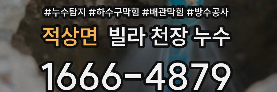적상면 빌라 천장 누수