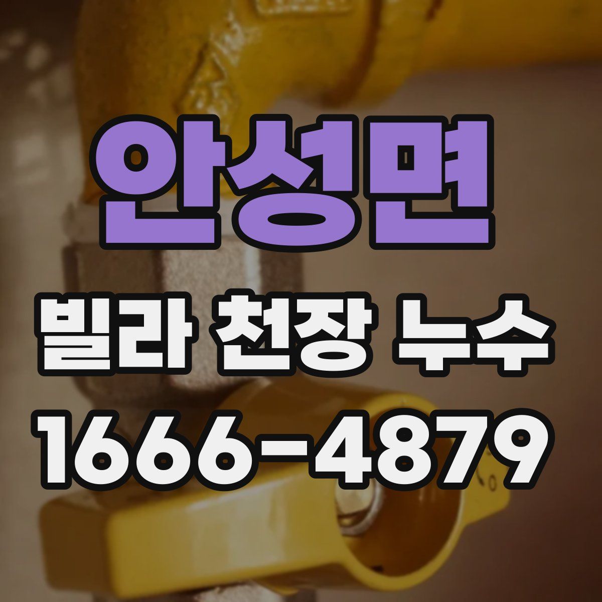 안성면 빌라 천장 누수