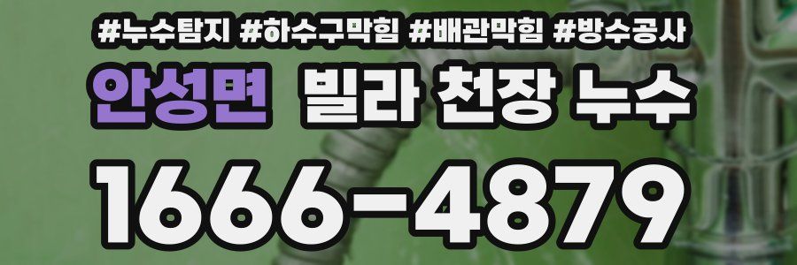 안성면 빌라 천장 누수