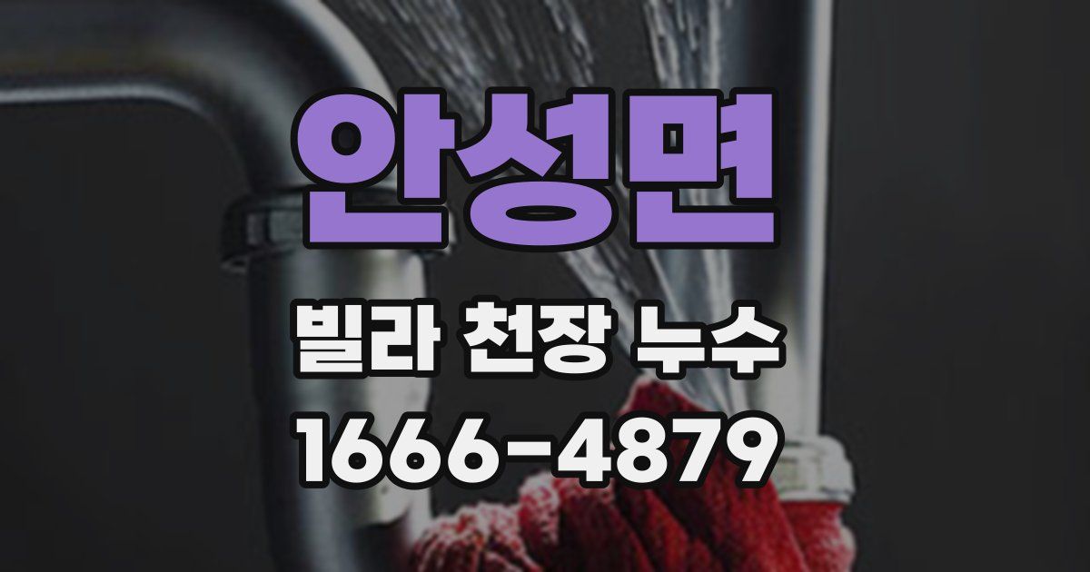 안성면 빌라 천장 누수