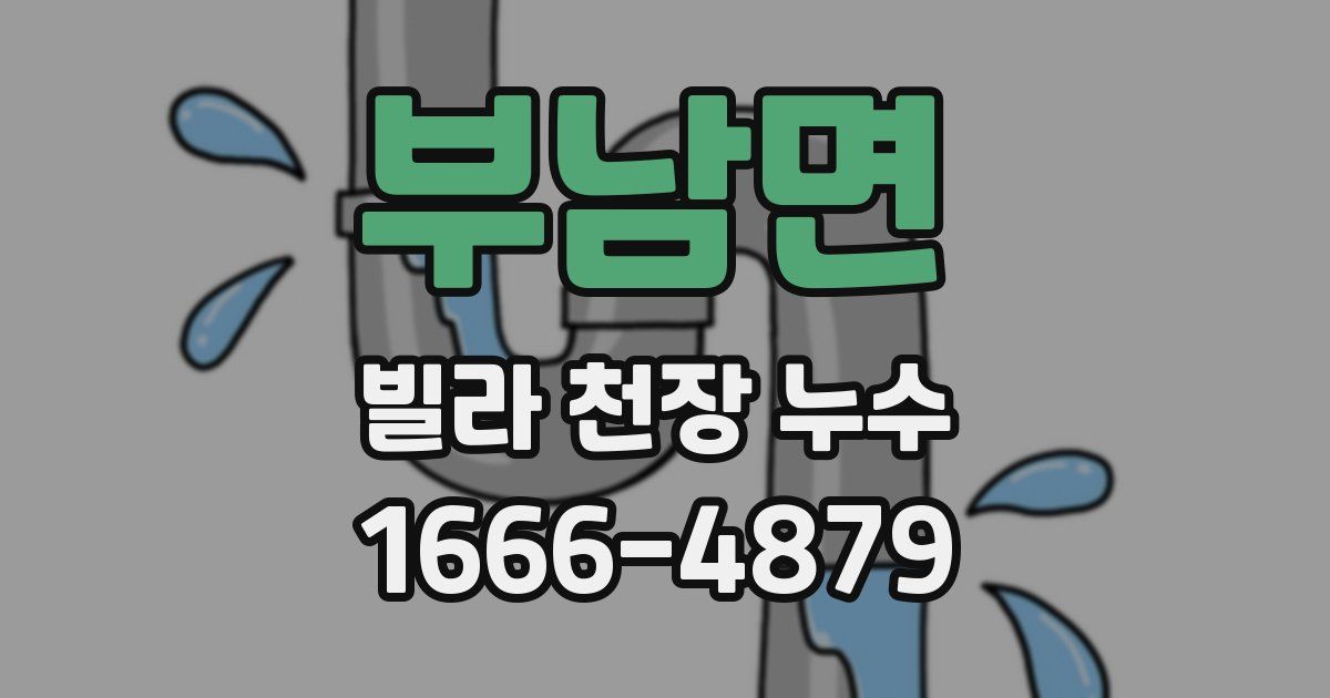 부남면 빌라 천장 누수