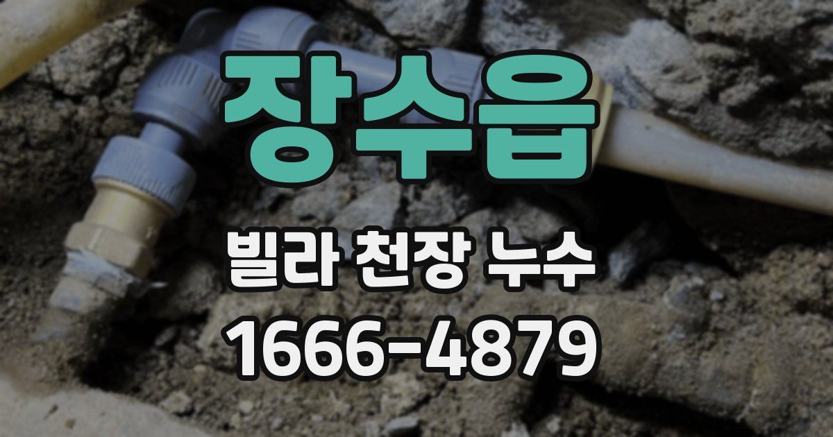 장수읍 빌라 천장 누수