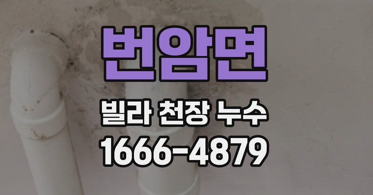 번암면 빌라 천장 누수