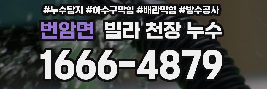 번암면 빌라 천장 누수