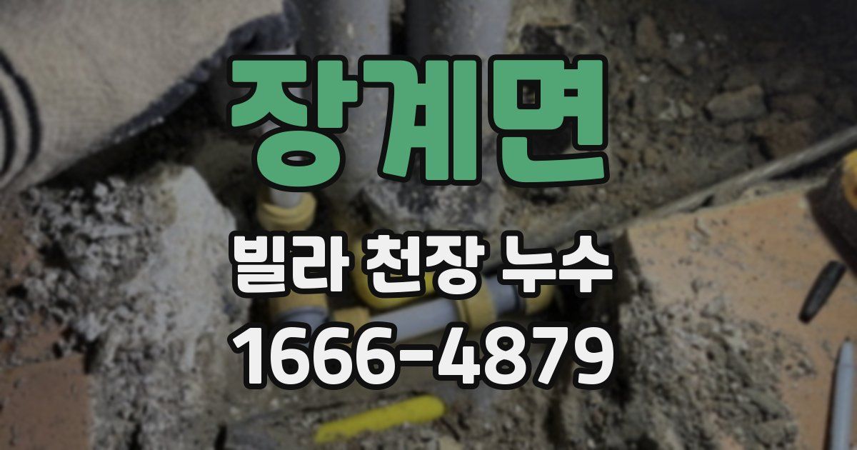 장계면 빌라 천장 누수