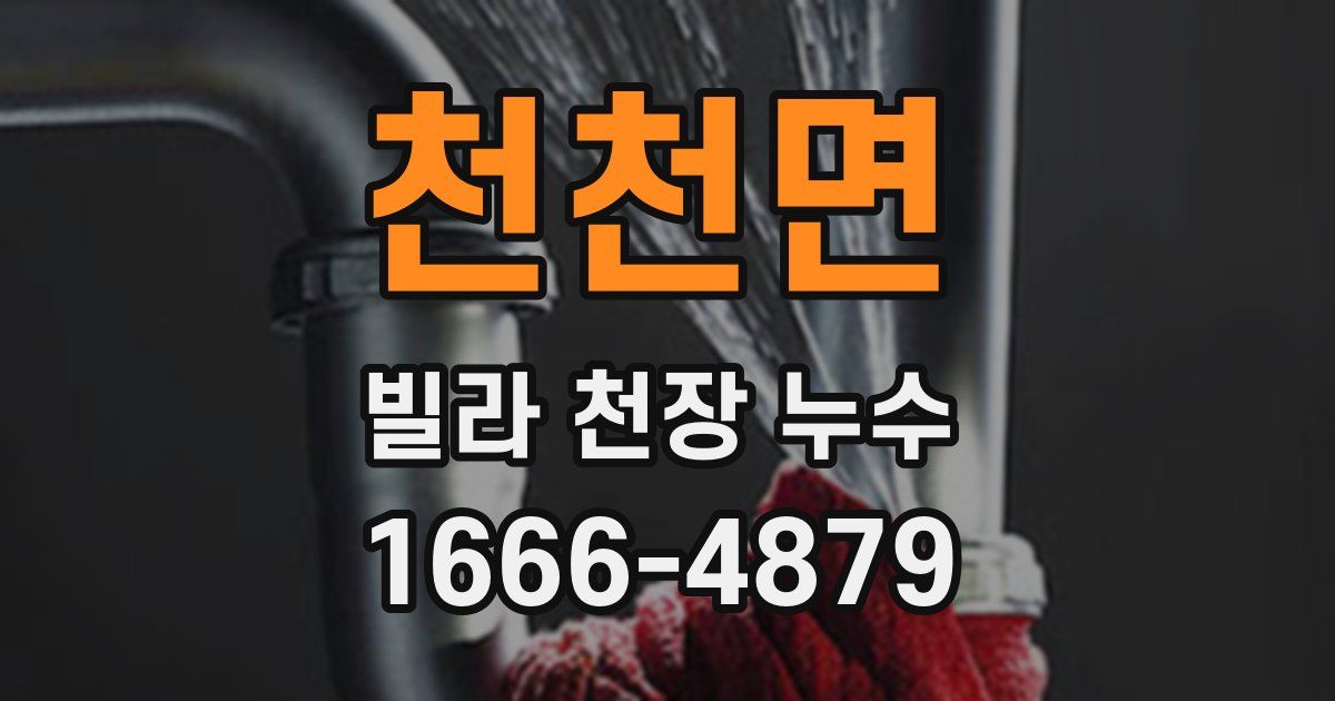 천천면 빌라 천장 누수