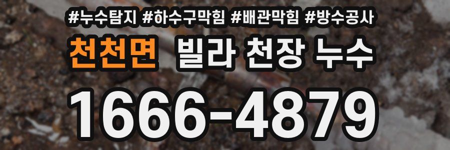 천천면 빌라 천장 누수