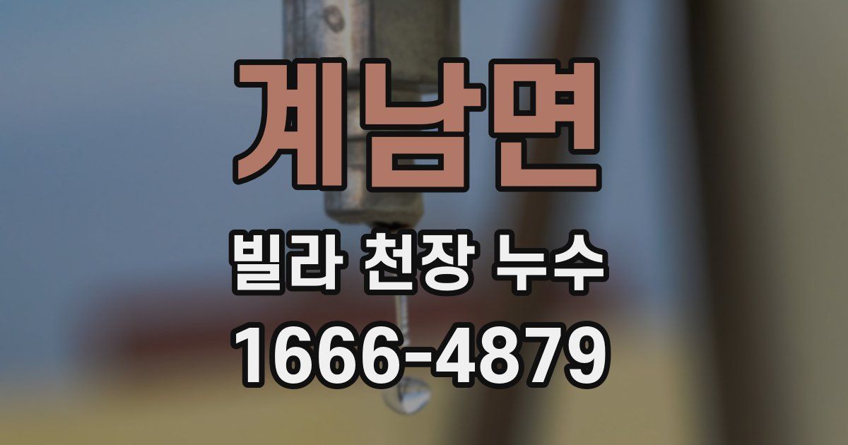계남면 빌라 천장 누수
