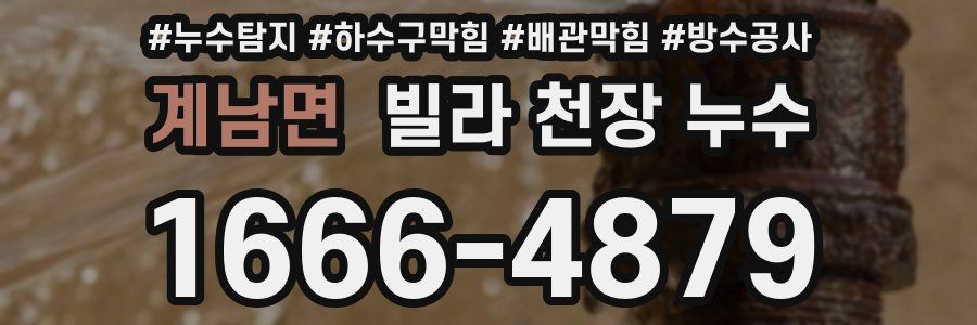 계남면 빌라 천장 누수