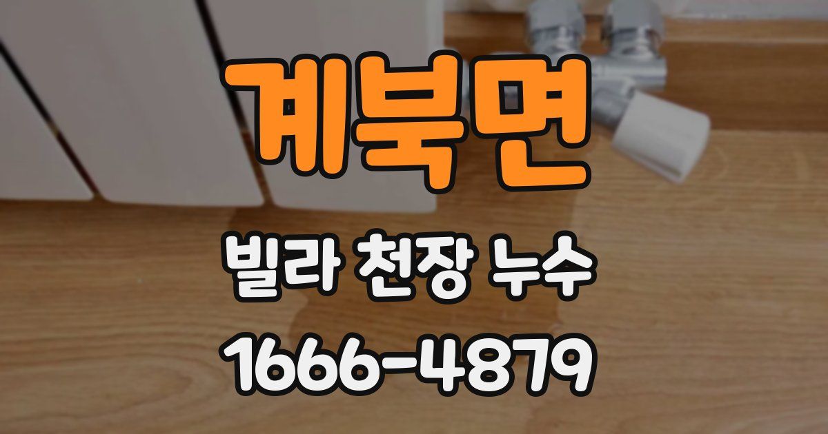 계북면 빌라 천장 누수