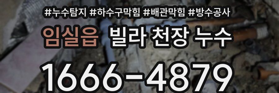 임실읍 빌라 천장 누수