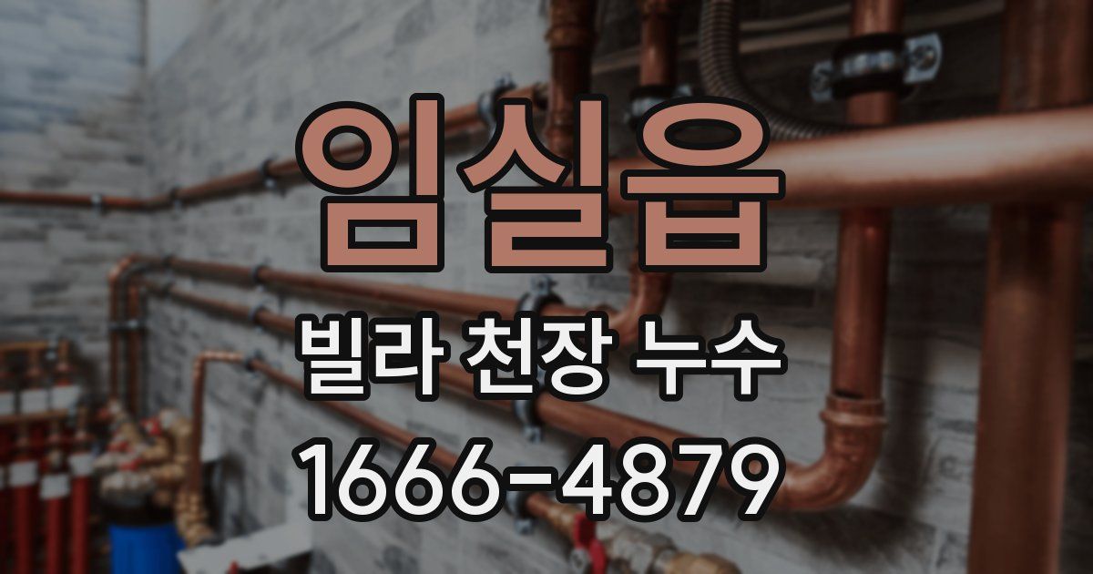 임실읍 빌라 천장 누수