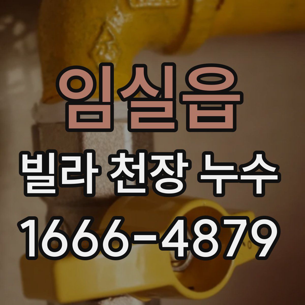 임실읍 빌라 천장 누수