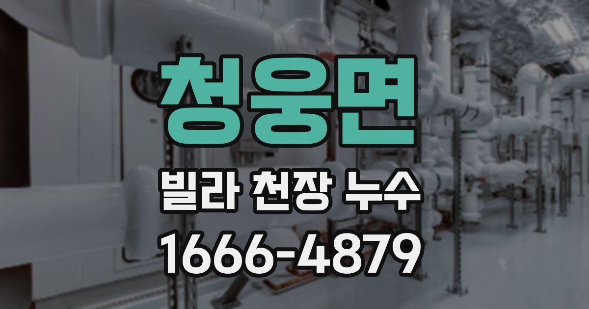 청웅면 빌라 천장 누수