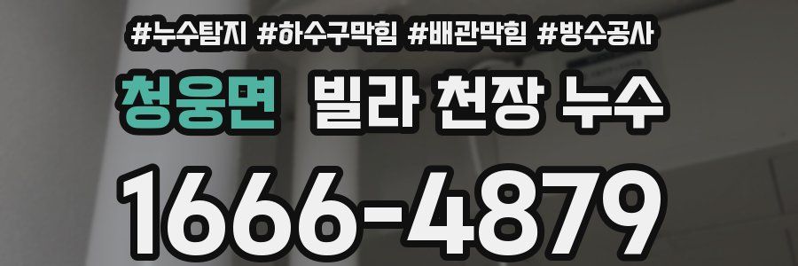청웅면 빌라 천장 누수