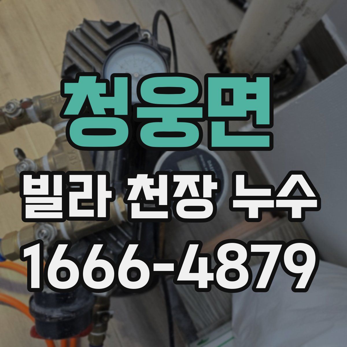 청웅면 빌라 천장 누수