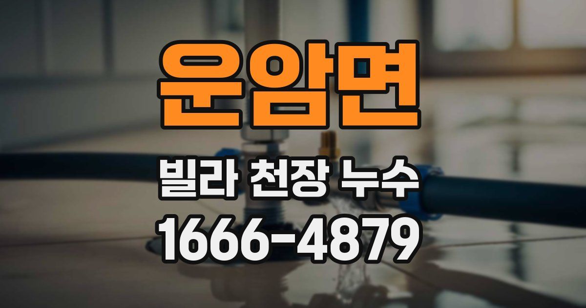 운암면 빌라 천장 누수
