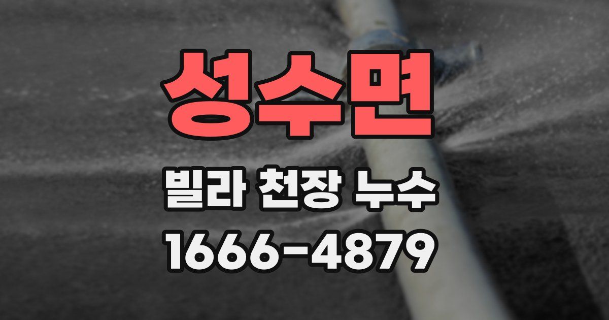 성수면 빌라 천장 누수