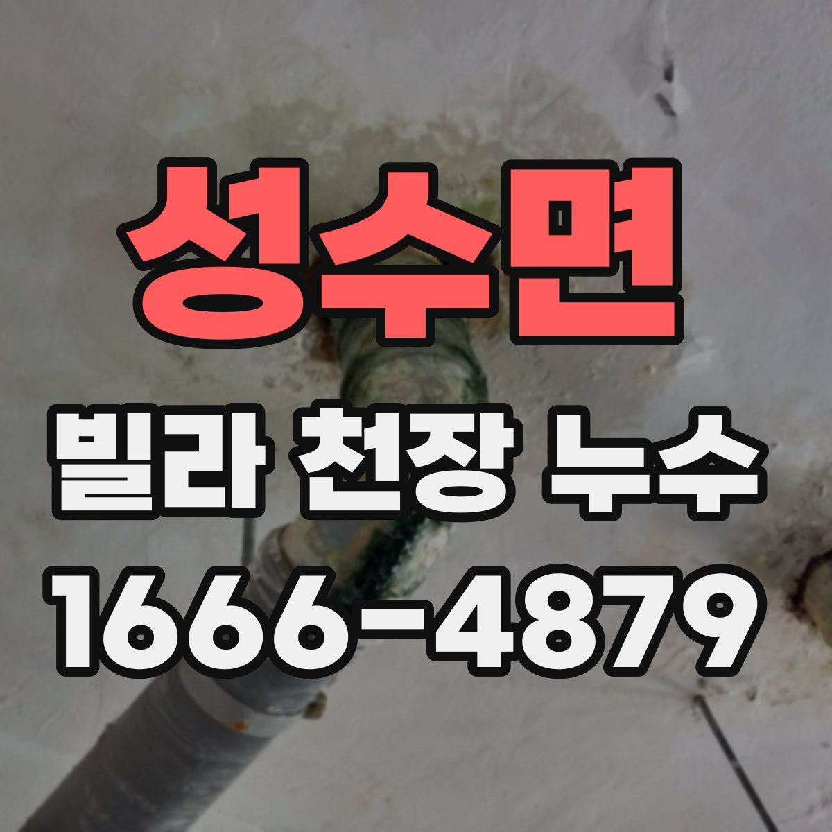 성수면 빌라 천장 누수