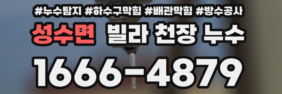 성수면 빌라 천장 누수