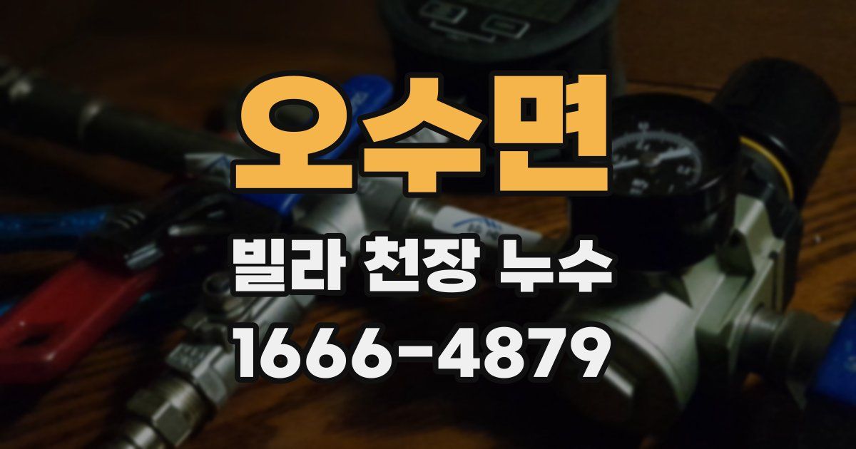 오수면 빌라 천장 누수