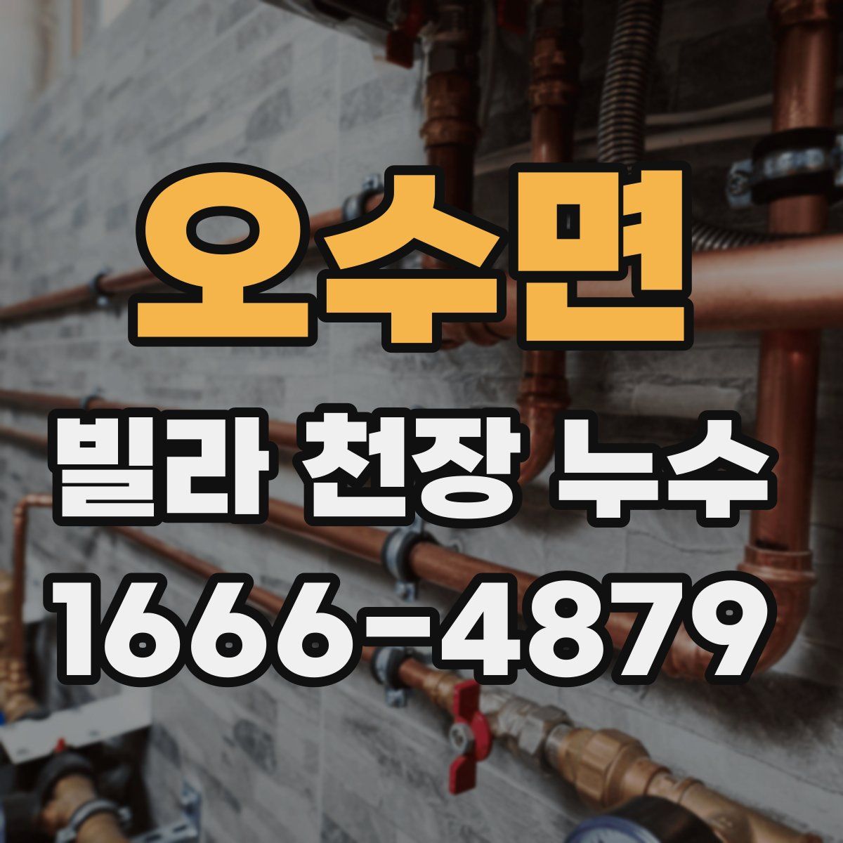 오수면 빌라 천장 누수