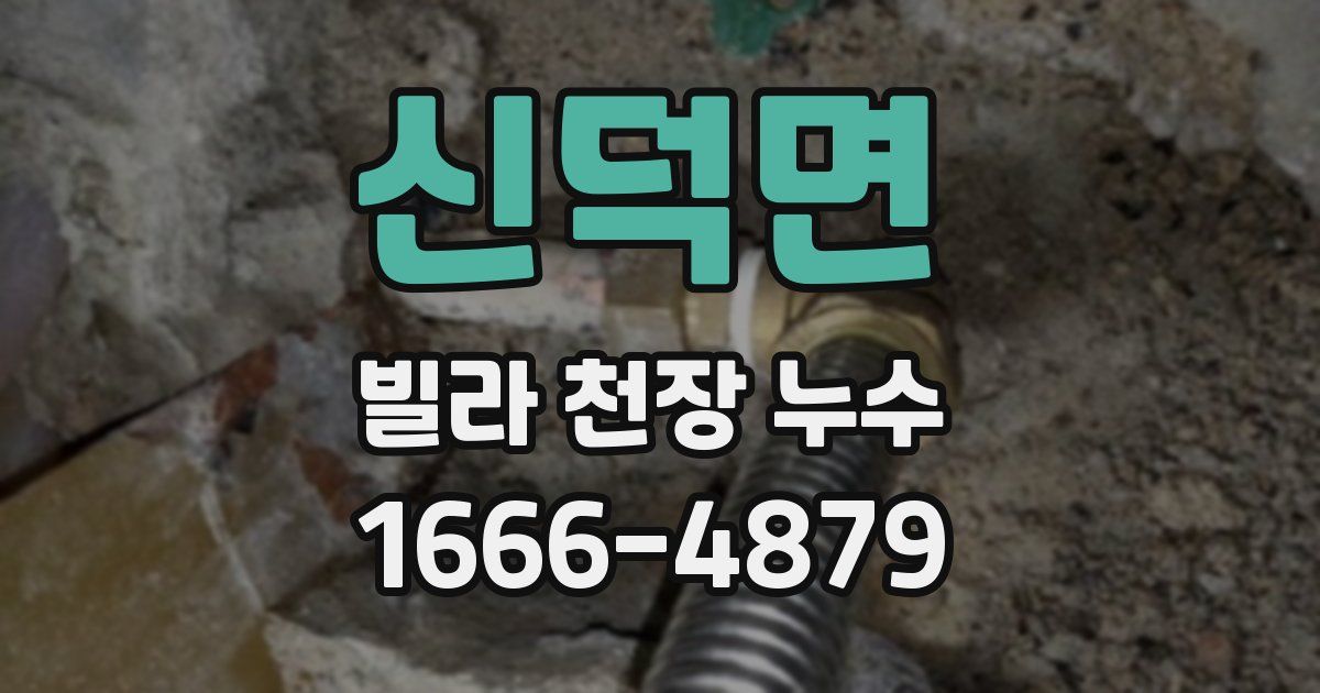 신덕면 빌라 천장 누수