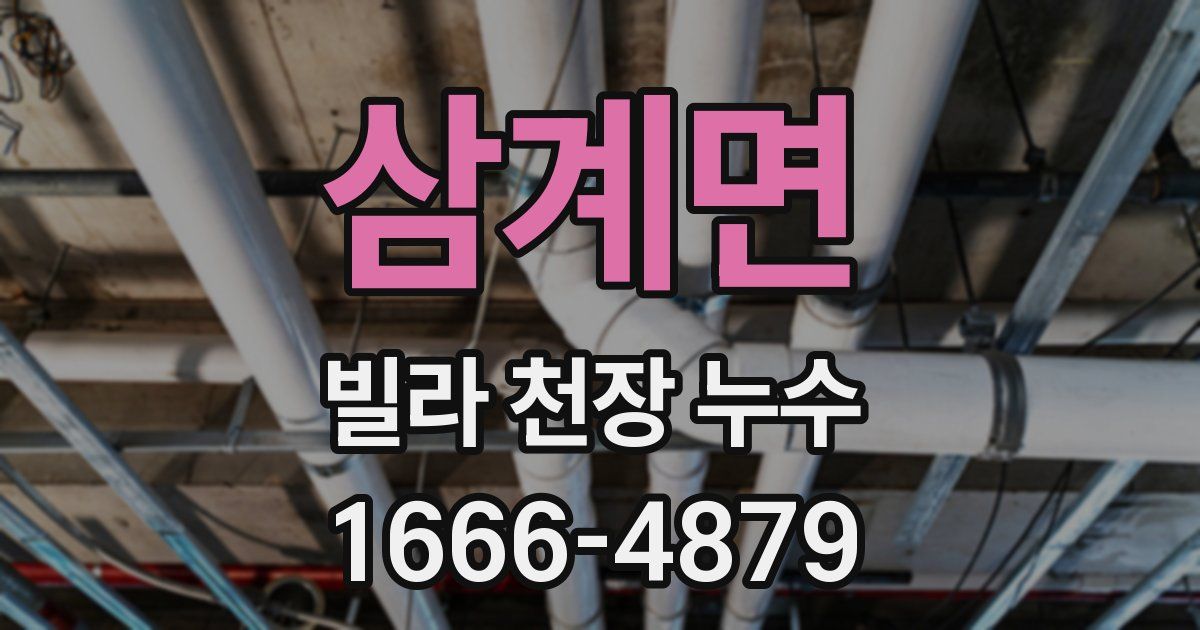 삼계면 빌라 천장 누수