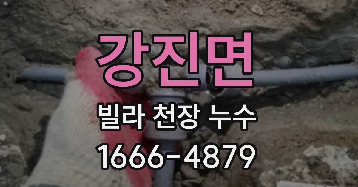 강진면 빌라 천장 누수