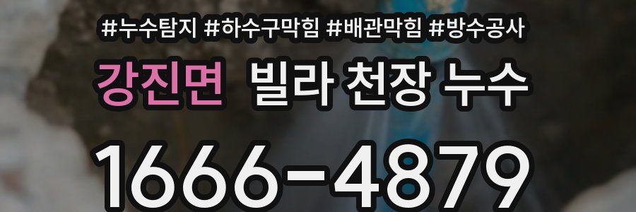 강진면 빌라 천장 누수