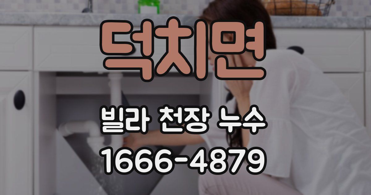 덕치면 빌라 천장 누수