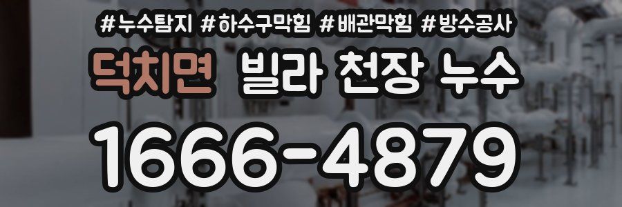 덕치면 빌라 천장 누수