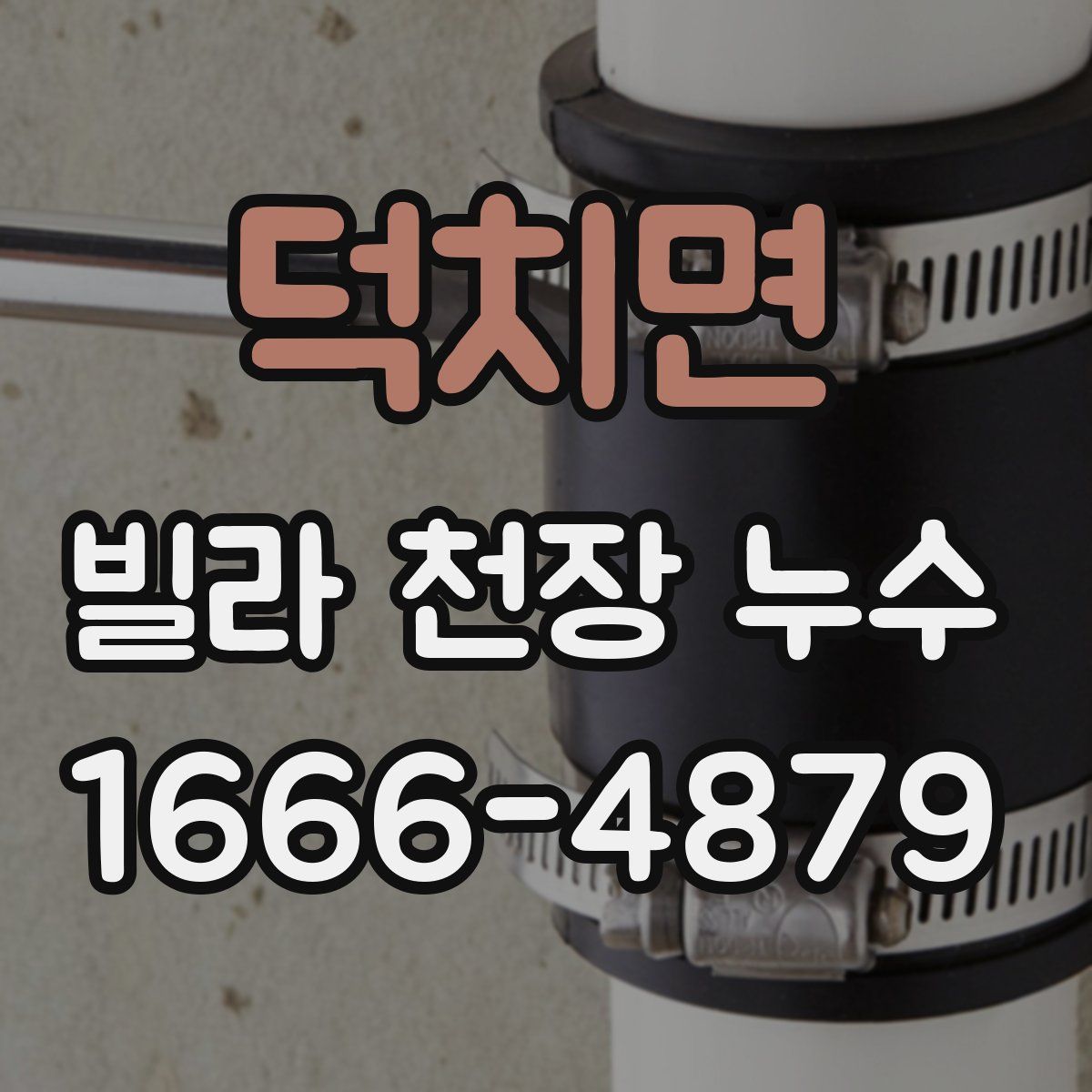 덕치면 빌라 천장 누수
