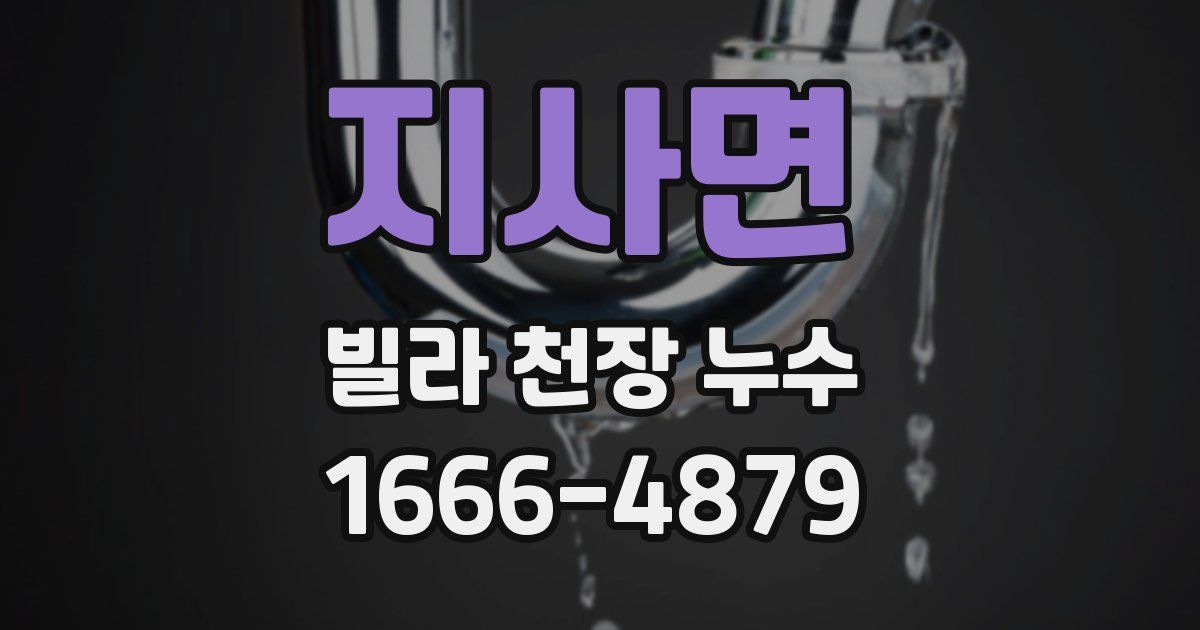 지사면 빌라 천장 누수