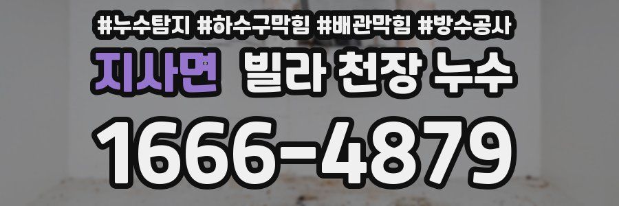 지사면 빌라 천장 누수