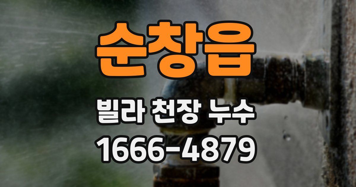 순창읍 빌라 천장 누수